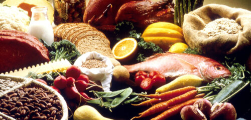 Cibo (foto: wikipedia.org)
