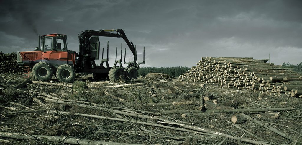 Un'area deforestata (foto: www.3bmeteo.com)