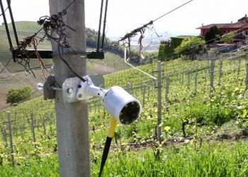 Una delle telecamere installate da Ixem nelle campagne piemontesi (foto: www.lapresse.it)
