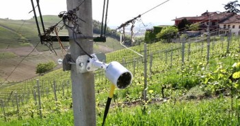 Altro che Grande Fratello: le webcam che sorvegliano le piante Una delle telecamere installate da Ixem nelle campagne piemontesi (foto: www.lapresse.it)