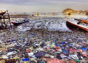 La superficie inquinata di una baia (foto: america.aljazeera.com)