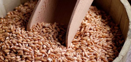 Farro (foto: rustichella.it)