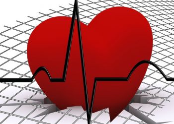 Il cuore è uno degli organi messi maggiormente a rischio da un eccesso di omocisteina (foto: nutrigeneticasardegna.altervista.org)