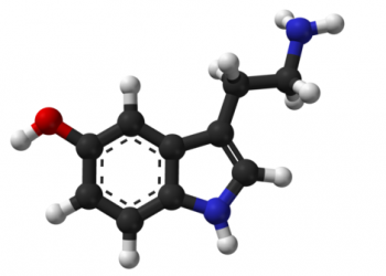 Una molecola di serotonina