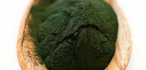 Polvere di alga Spirulina (foto: www.organicburst.com)