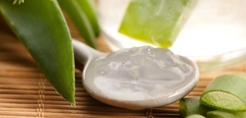 Gel di Aloe vera (foto: http://www.bigodino.it/)