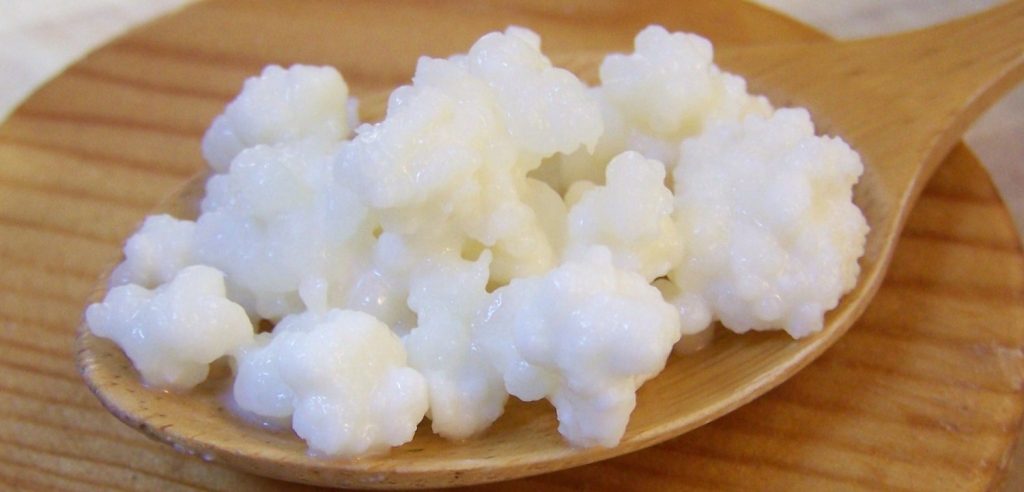 Granuli di kefir (foto: http://www.breadandfitness.co.uk/)