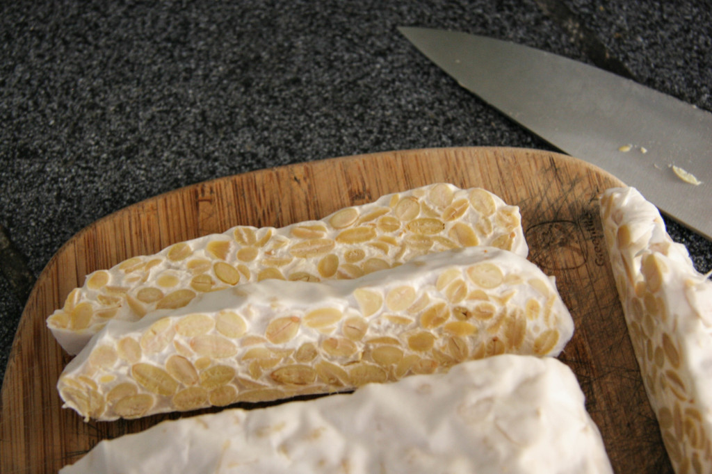 Tempeh (foto: gatherandgrow.org)