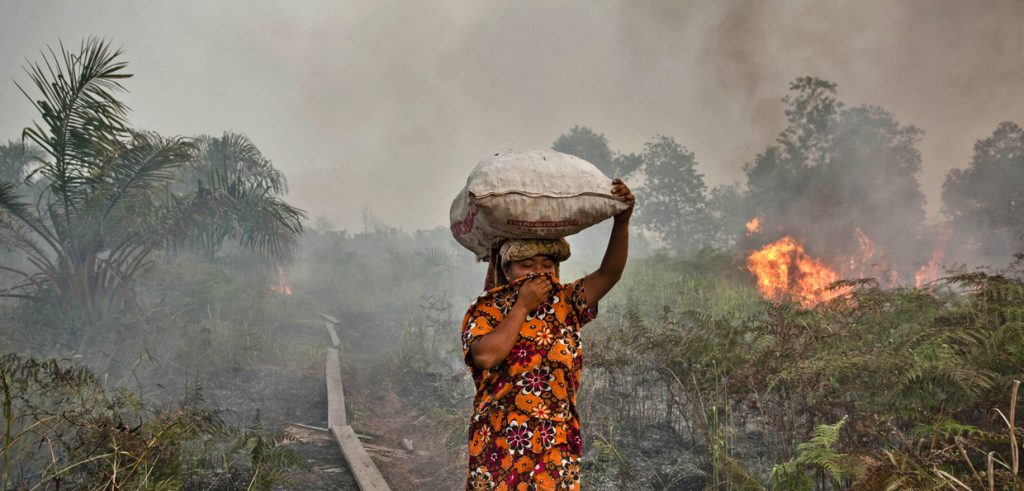 Una foresta indonesiana in fiamme (foto: www.lifegate.it)