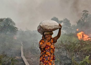 Una foresta indonesiana in fiamme (foto: www.lifegate.it)