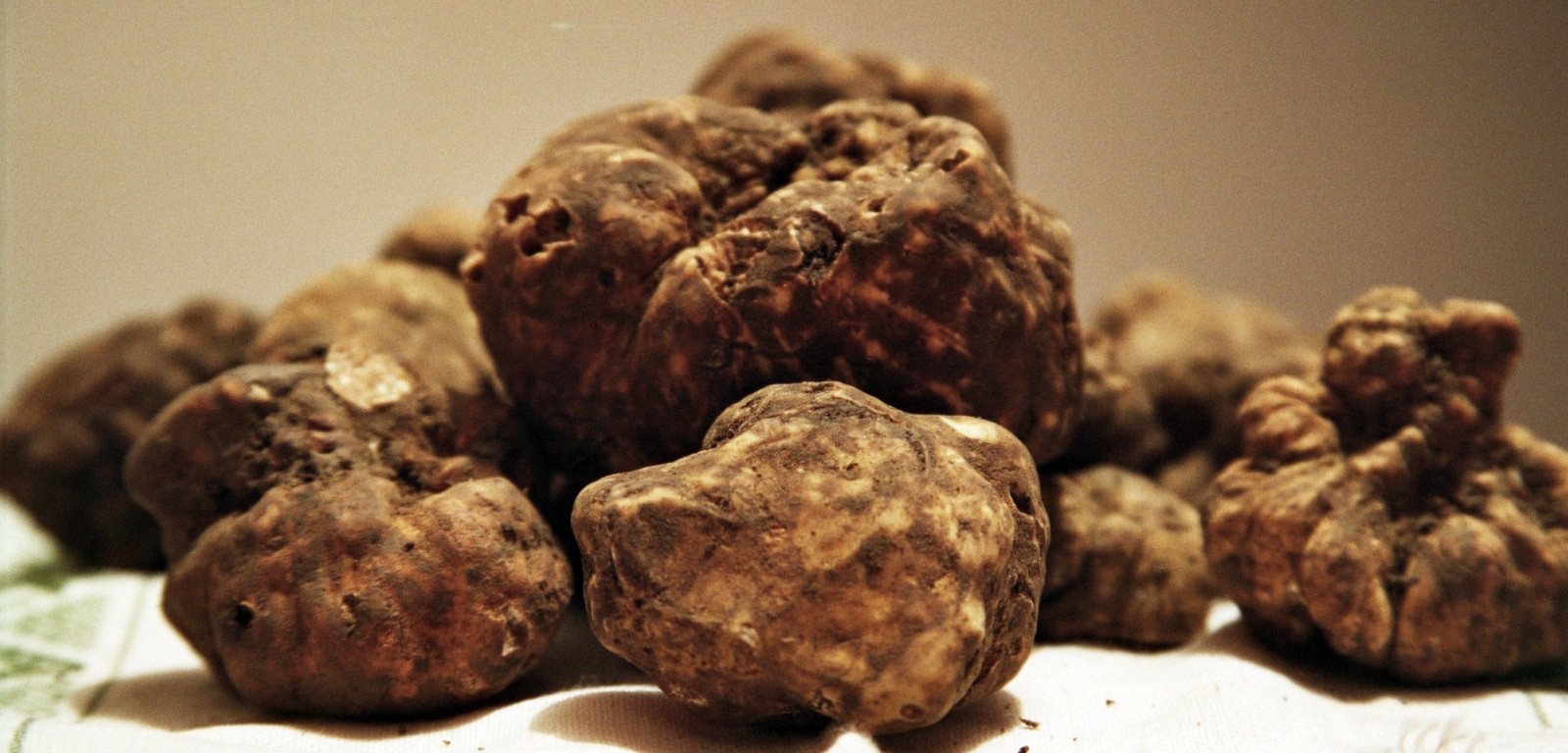 Come conservare il tartufo fresco. - Moscato Tartufi