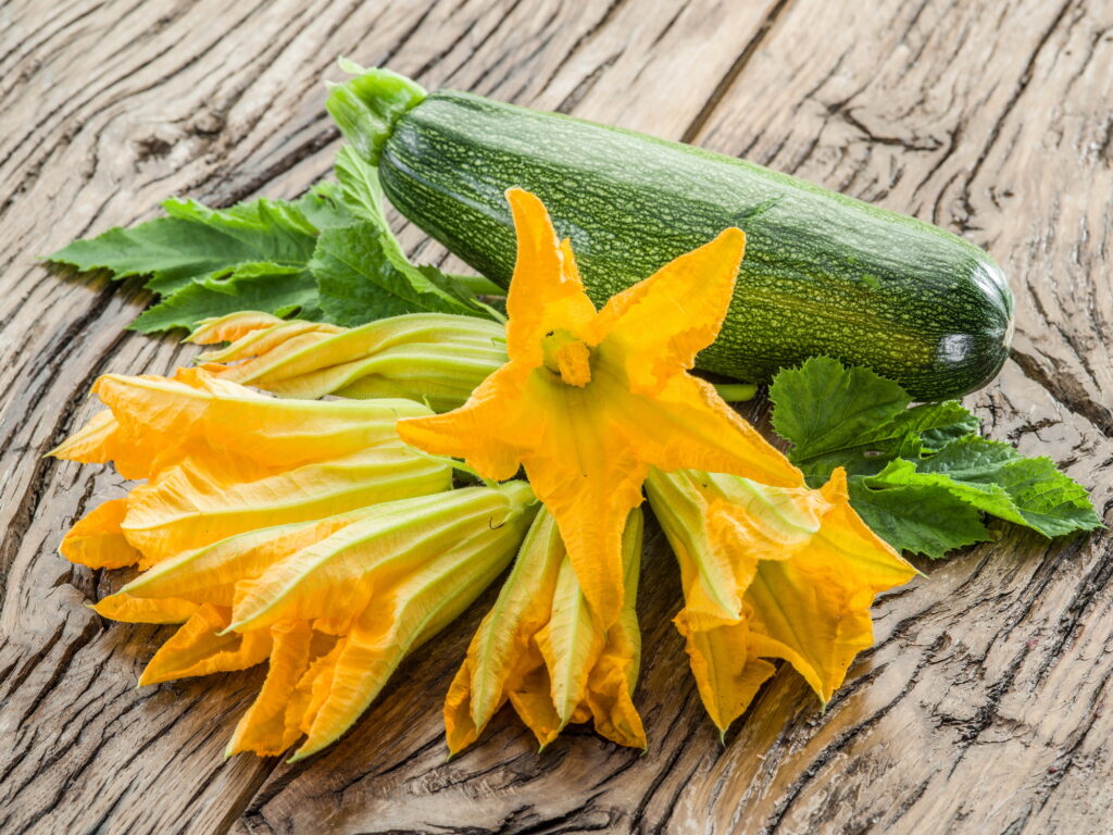 Fiori di zucca