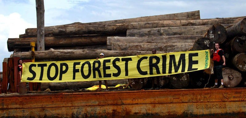 greenpeace-deforestazione