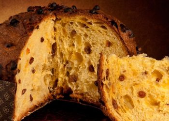 panettone