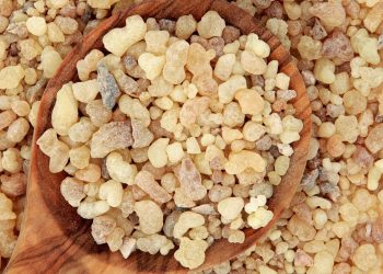 L'oleoresina ricavata dalla Boswellia