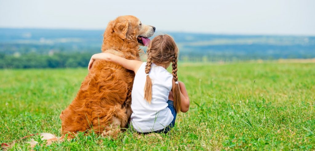 Golden retriver con bambina