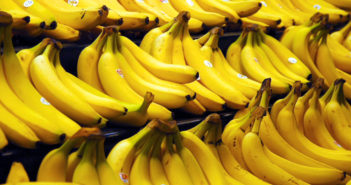 Banane: il frutto contro osteoporosi e malattie renali Banane