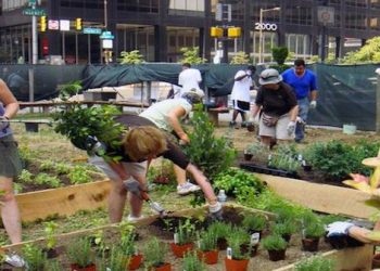 Pop-up Garden Philadelphia