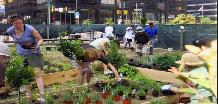 Pop-up Garden Philadelphia