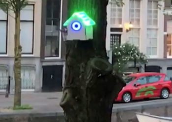 treewifi amsterdam