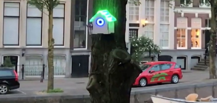 treewifi amsterdam