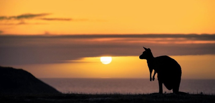 Kangaroo Island