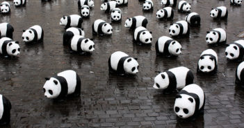 Il panda gigante è fuori pericolo. A rischiare ora è il gorilla panda gigante