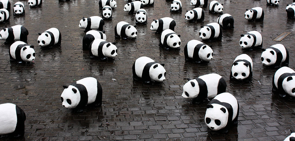 panda gigante