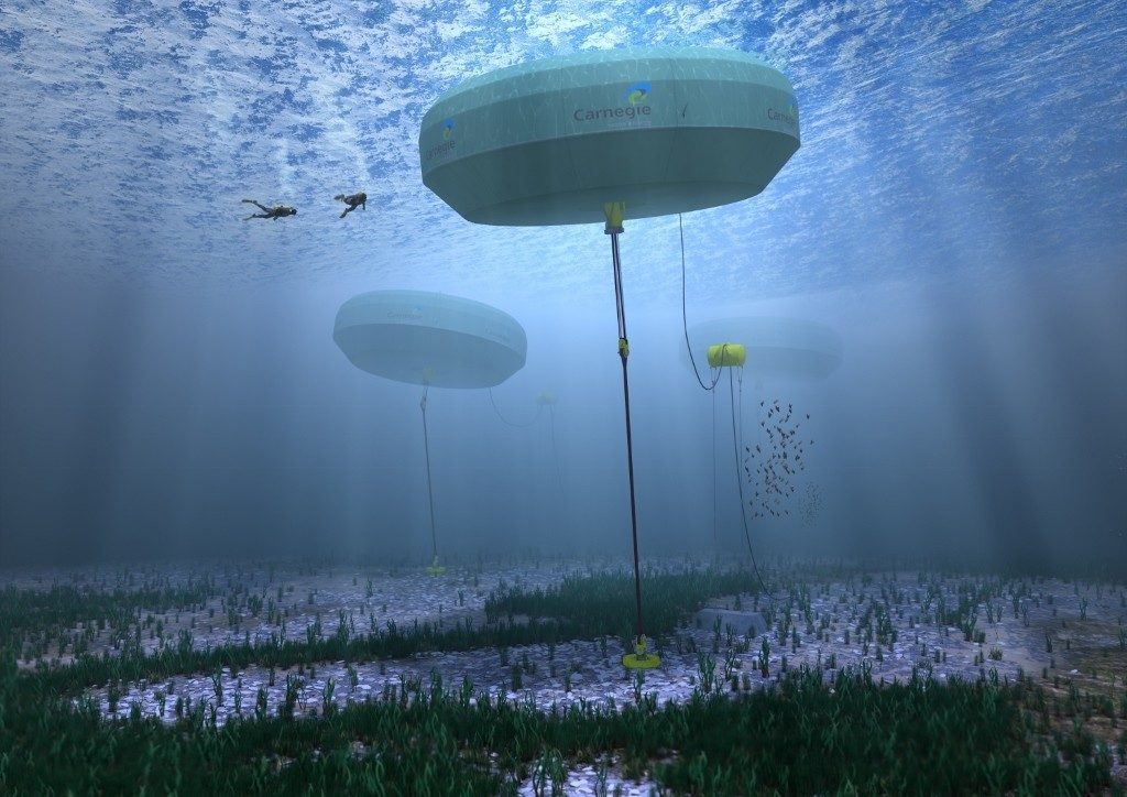 Immagine di Carnegie Wave Energy