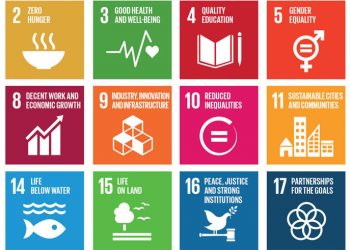 17 principi Agenda 2030 per la sostenibilità