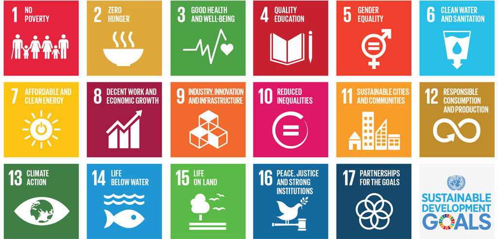 17 principi Agenda 2030 per la sostenibilità