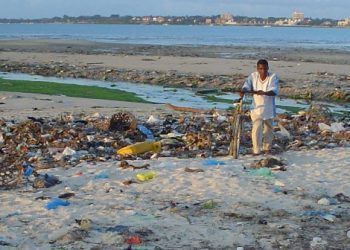 Great Pacific Garbage Patch