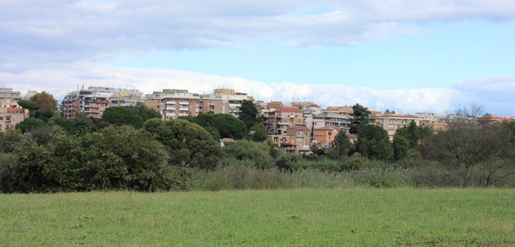 Dal clima alla salute, i benefici delle foreste urbane