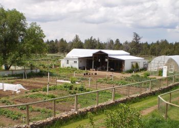 Permaculture