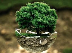Le 10 aziende più sostenibili