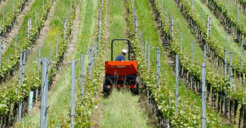 Agricoltura, la sfida del nuovo millennio è senza pesticidi