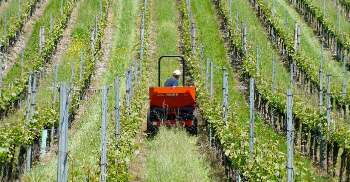 Agricoltura, la sfida del nuovo millennio è senza pesticidi