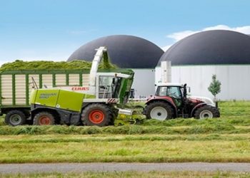 biocarburante dall’erba