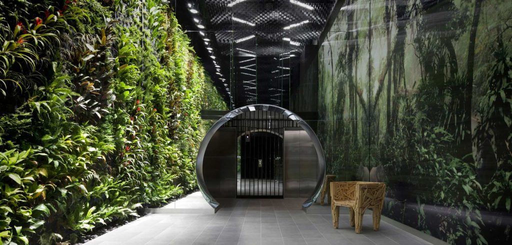 biophilic design