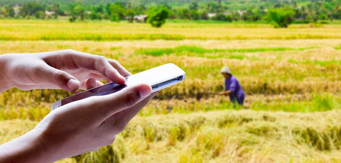 internet of food