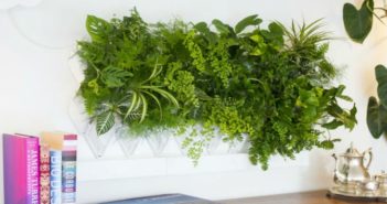 Giardini verticali, il verde da appendere al muro