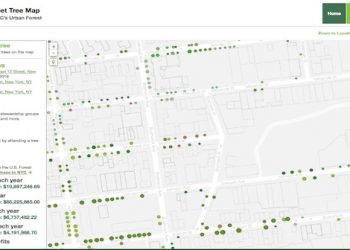 nyc-street-tree-map