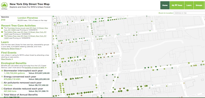nyc-street-tree-map