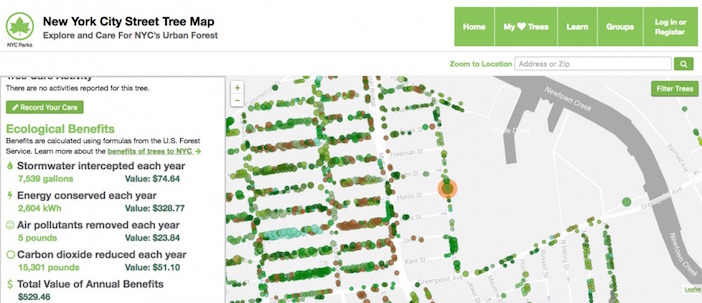 nyc-street-tree-map_economico