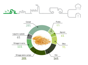 Ripartizione percentuale della produzione agricola rimasta nei campi (2009). Fonte: "Lo spreco alimentare: cause impatti e proposte", Barilla Center for Food and Nutrition