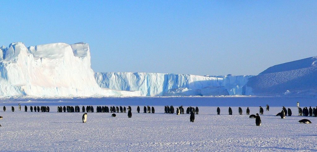Antartide: ecco la riserva marina più grande al mondo, riserva naturale