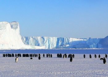 Antartide: ecco la riserva marina più grande al mondo, riserva naturale