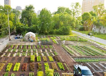 agricoltura di quartiere