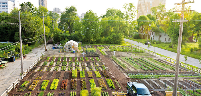 agricoltura di quartiere