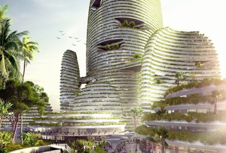 foresta urbana torre